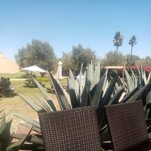 Meet your Posher, Lupita